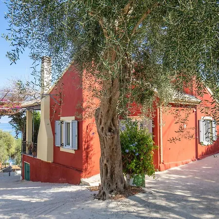 Pelagia Mare * Χλομός